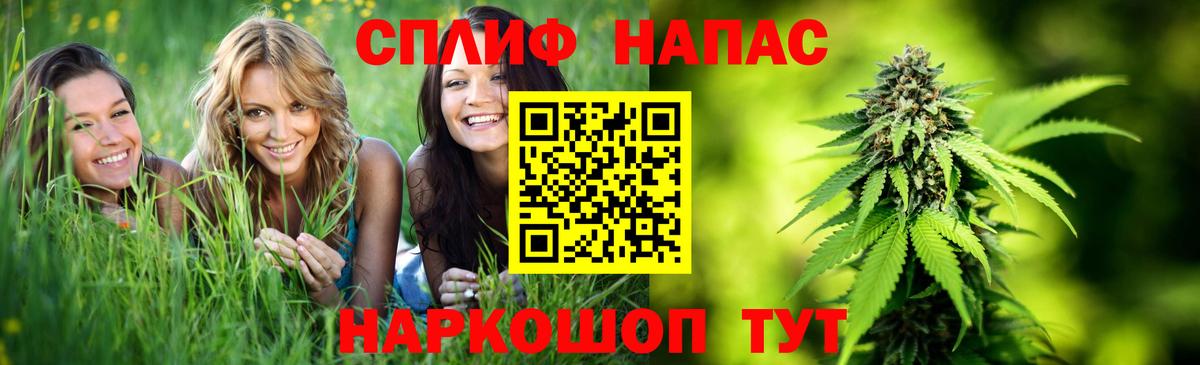 Каннабис семена  Конопля OG Kush  Вход с VPN  Шишки марихуана сатива  Знаменск 